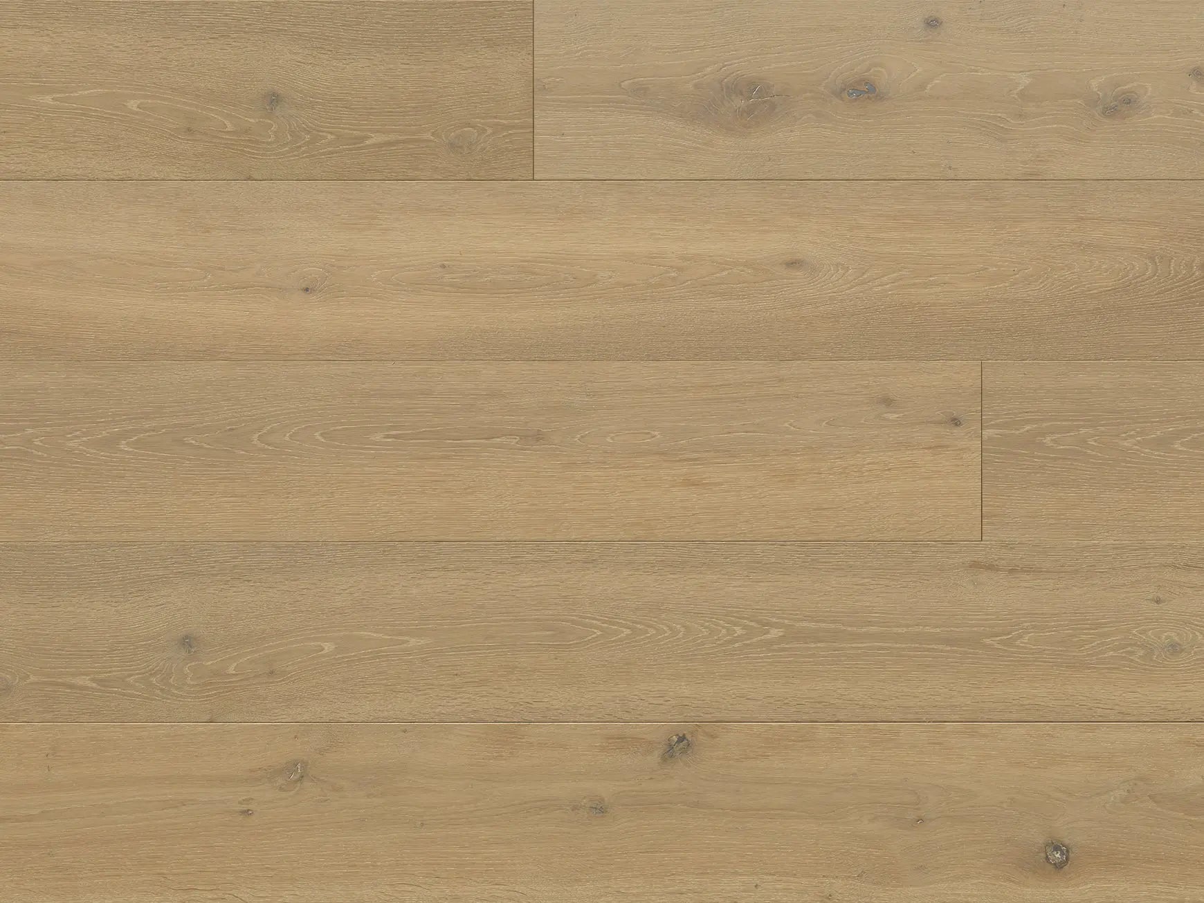 Domaine II - Lorraine - Engineered Hardwood Monarch Plank Hardwood Flooring