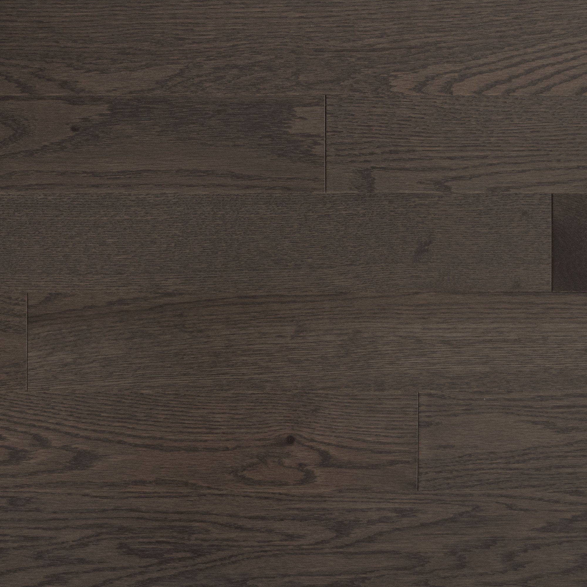 Elemental - Red Oak Platinum - Hardwood