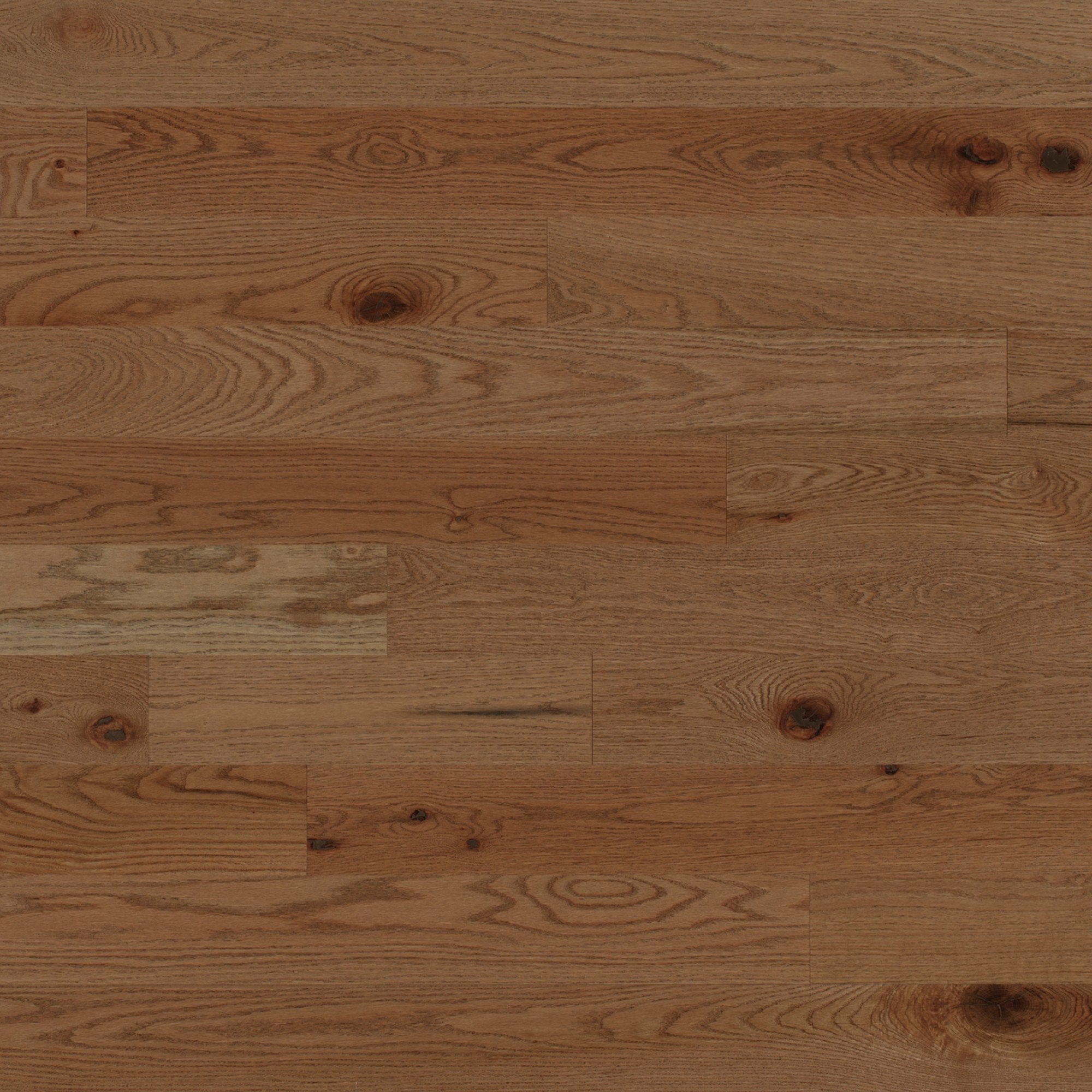 Escape - Red Oak Carmel - Hardwood