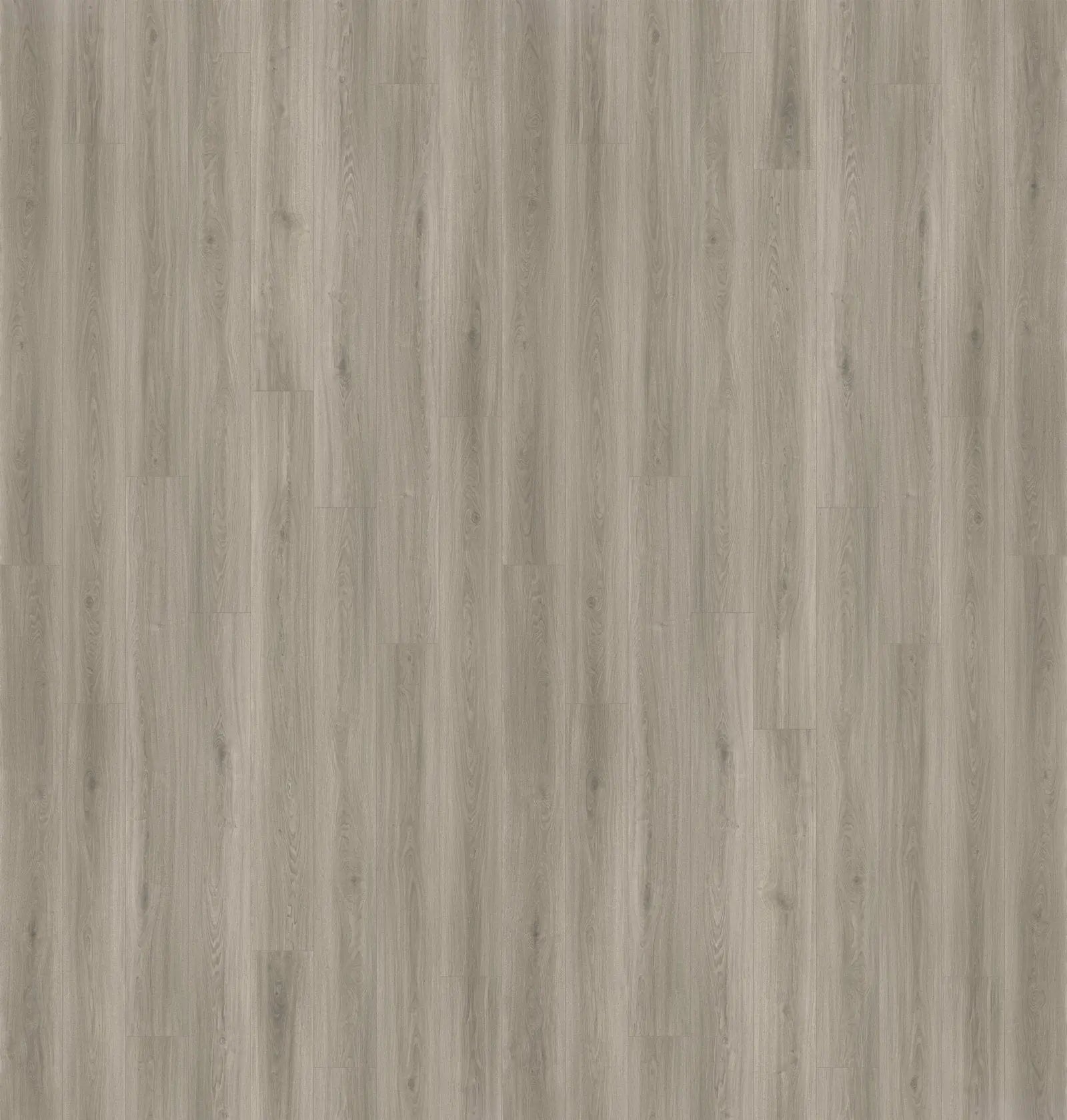 Passion - Laminate