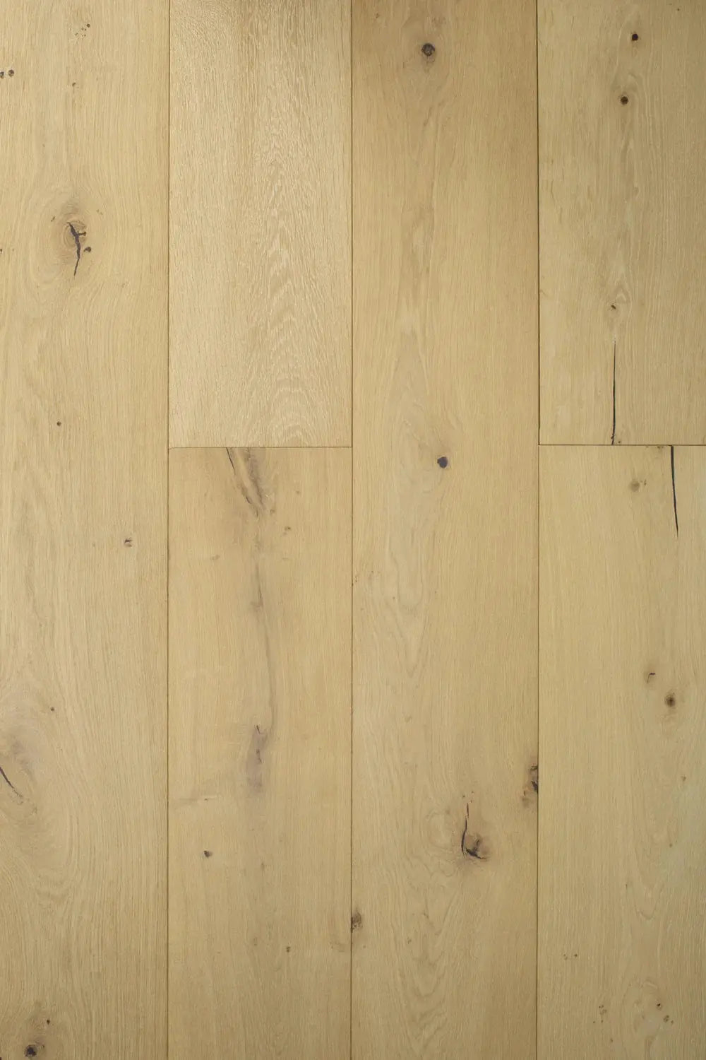 Andrea European Oak - Pomezia - Engineered Hardwood Villagio Floors