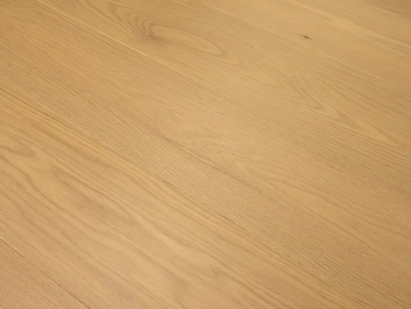 Premio - Adoro - Engineered Hardwood Monarch Plank Hardwood Flooring