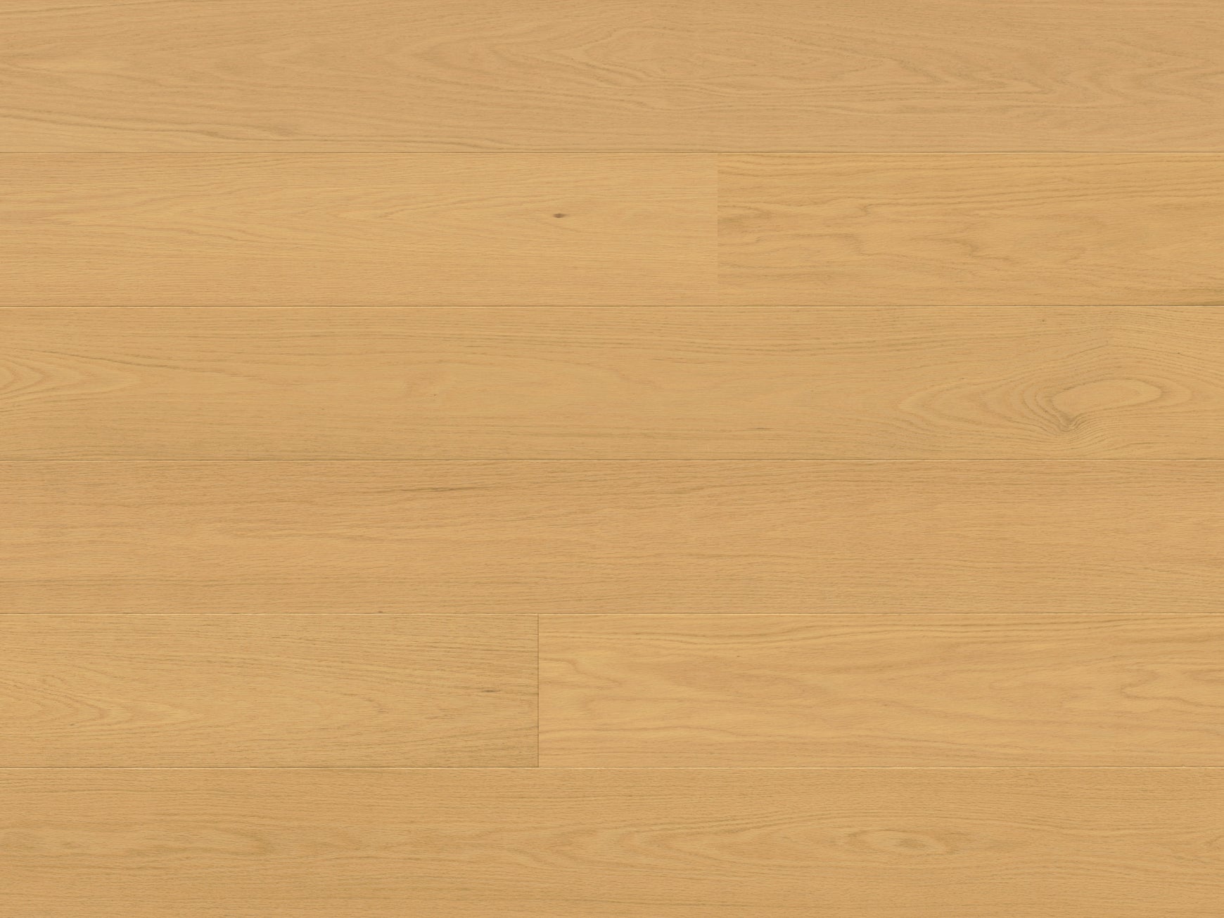Premio - Adoro - Engineered Hardwood Monarch Plank Hardwood Flooring
