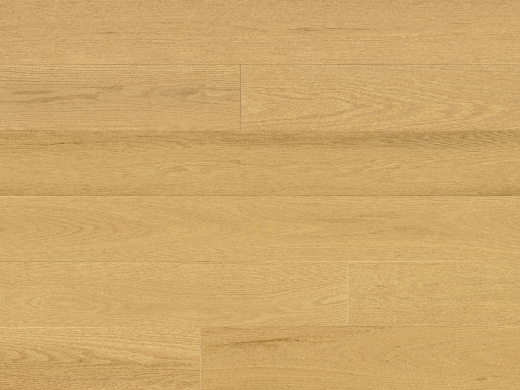 Premio - Vista - Engineered Hardwood Monarch Plank Hardwood Flooring
