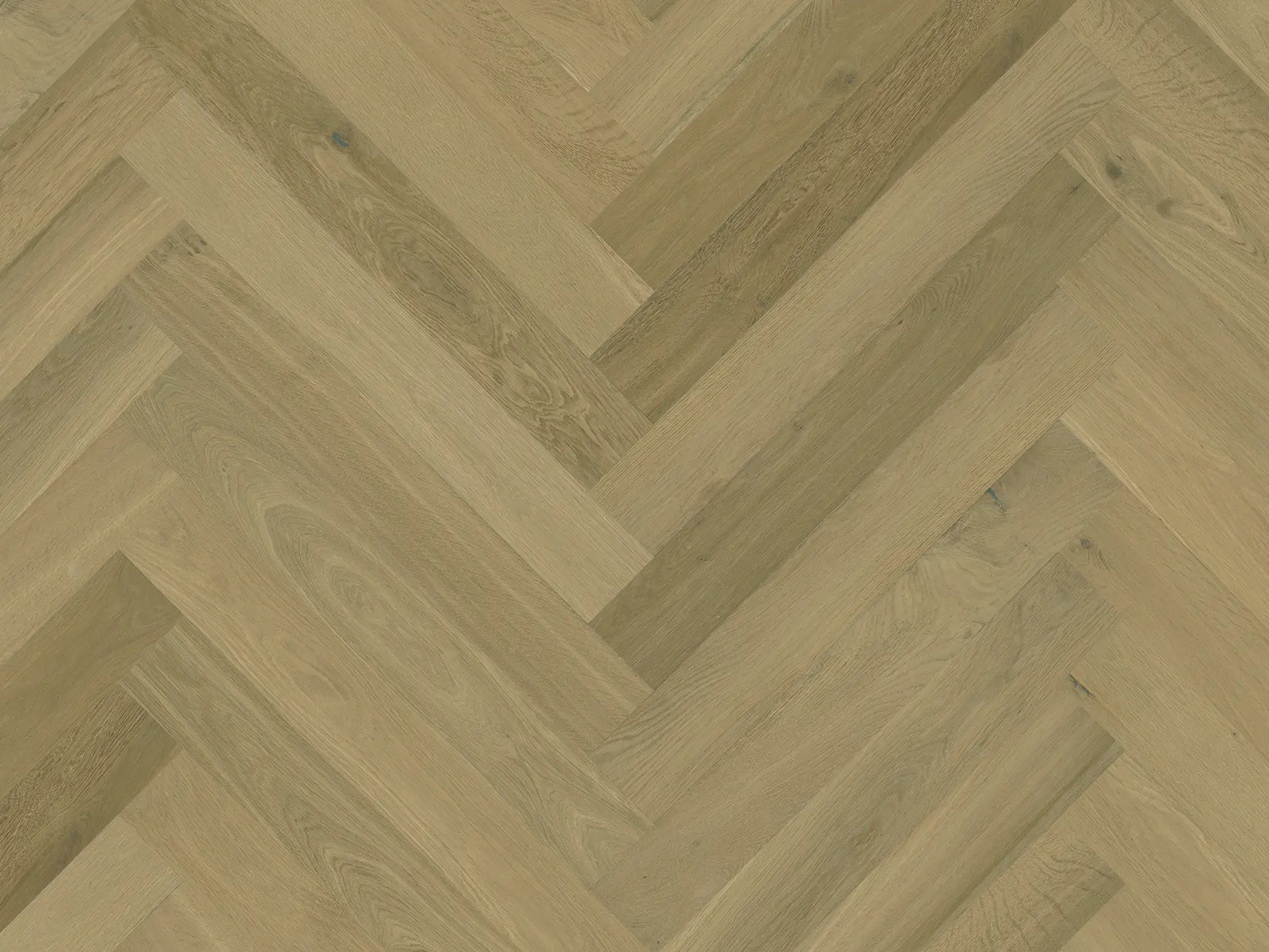 Verano - Terra - Engineered Hardwood Monarch Plank Hardwood Flooring