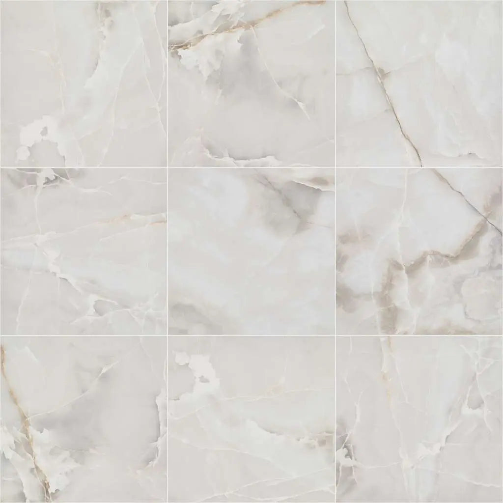 ONYX 24X24 POLISHED -Tile Shaw Floors