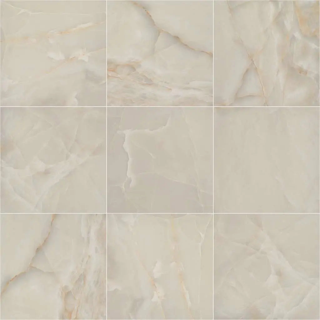 ONYX 24X24 POLISHED -Tile Shaw Floors