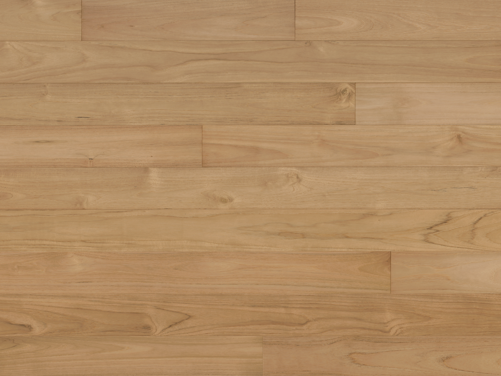 True Teak - Bleached Prime - Engineered Hardwood Monarch Plank Hardwood Flooring