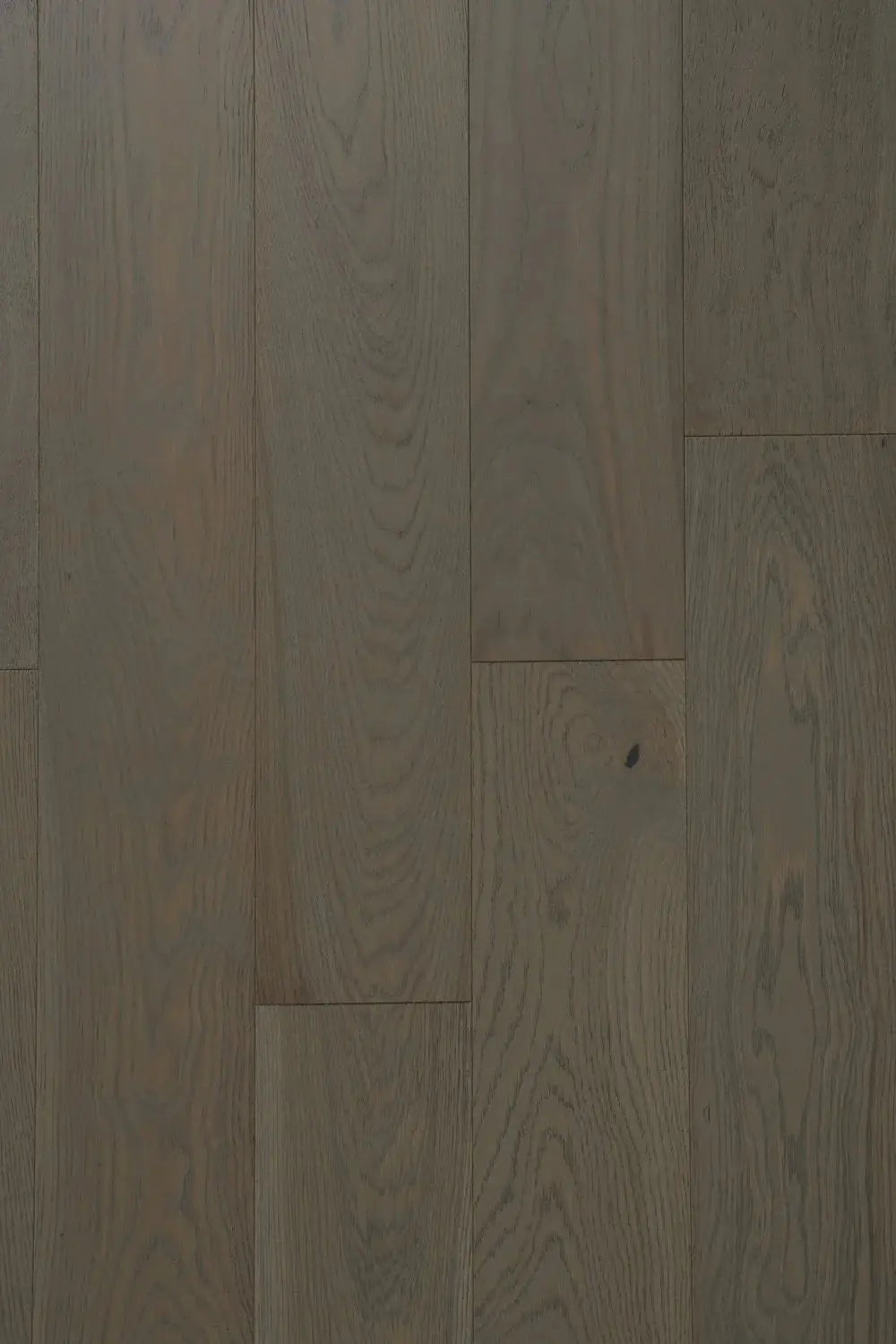 Abruzzo European Oak - Torre - Engineered Hardwood Villagio Floors