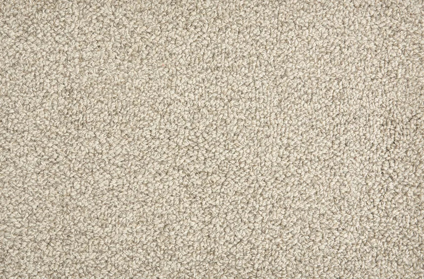 Hibernia - Trailblazer - Carpet
