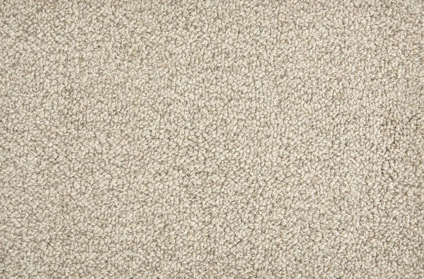 Hibernia - Trailblazer - Carpet Stanton