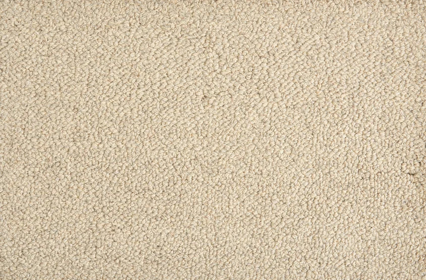 Hibernia - Trailblazer - Carpet Stanton