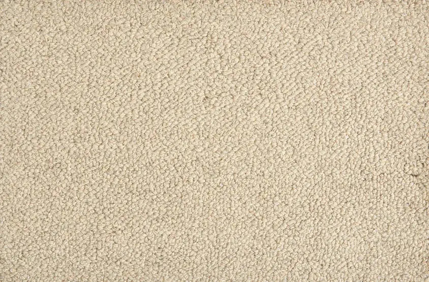 Hibernia - Trailblazer - Carpet Stanton