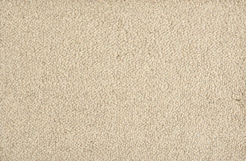 Hibernia - Trailblazer - Carpet