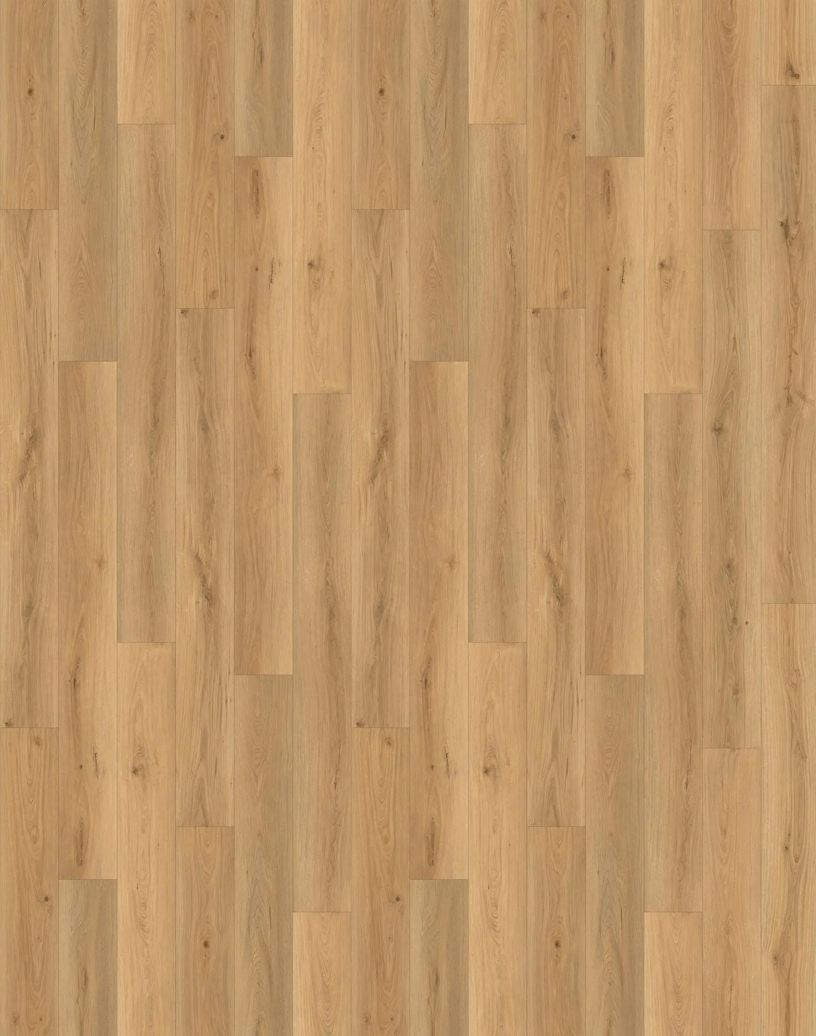 Vogue - Laminate