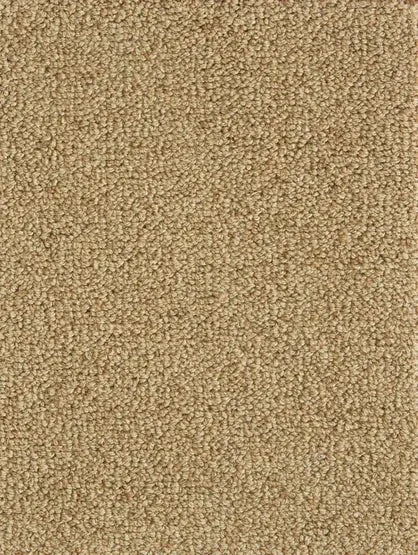 Hibernia - Archive - Carpet Stanton
