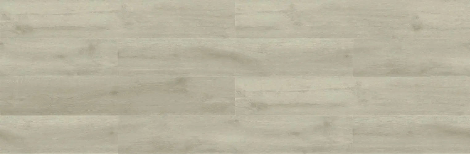 White Series - Saanddollar - LVP Gaia