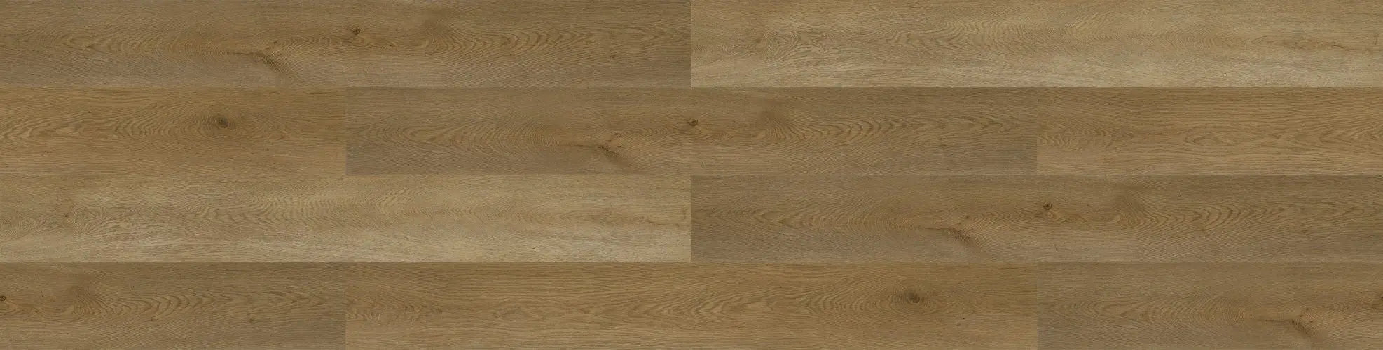 Black Series - Eyre - LVP Gaia