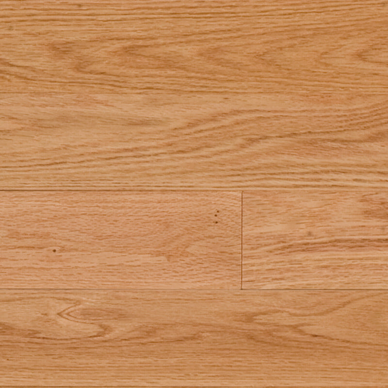 North American Oak - Belmont - Engineered Hardwood Lauzon
