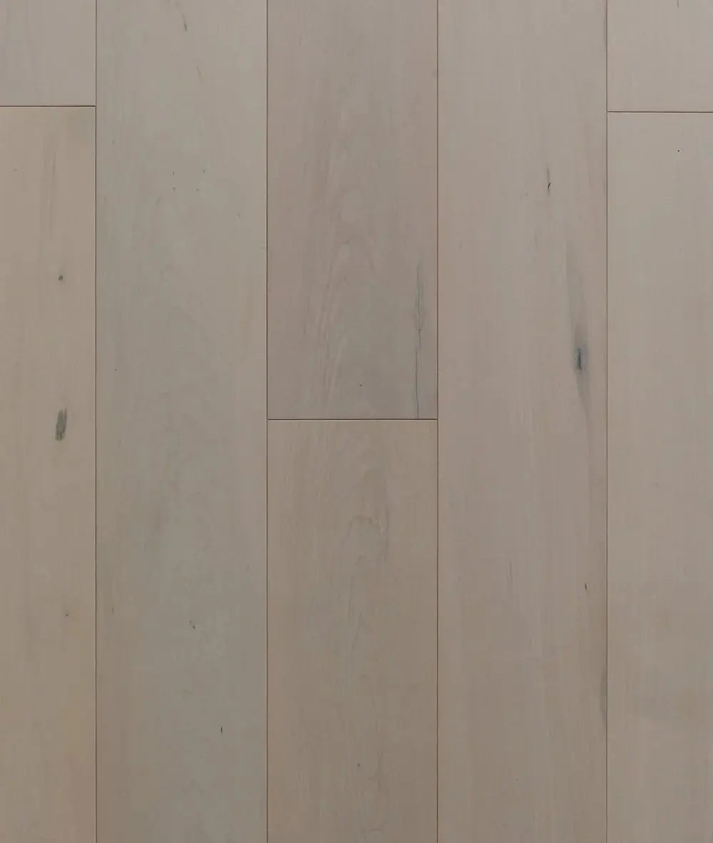 Latina Maple - Casoria - Engineered Hardwood Villagio Floors