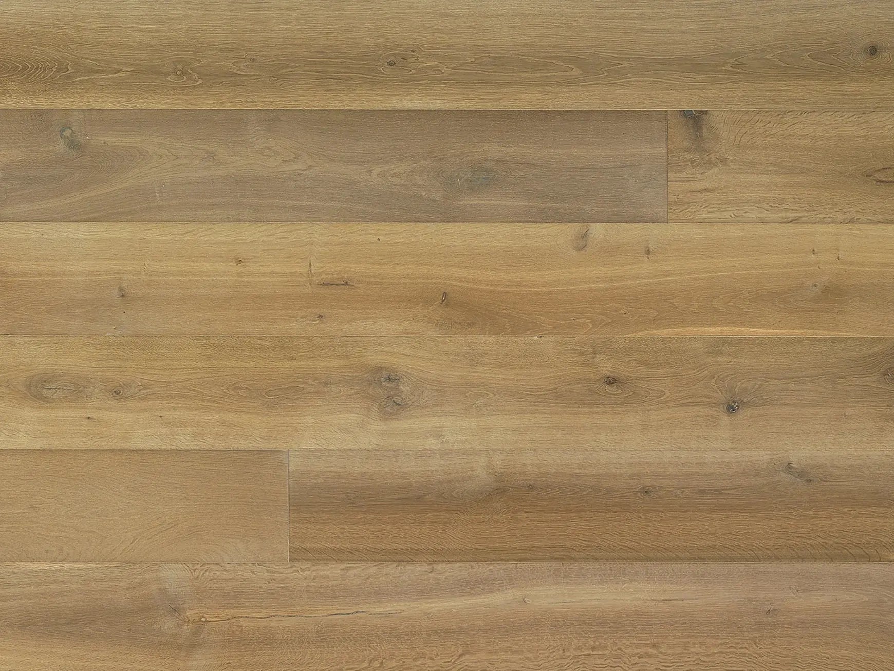 Domaine II - Verte - Engineered Hardwood Monarch Plank Hardwood Flooring