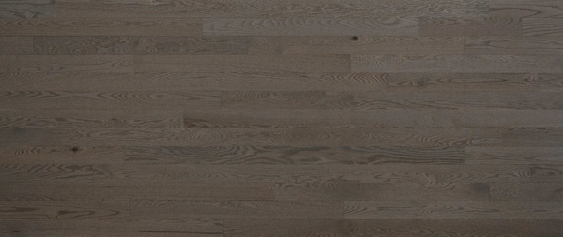 Expert - Smokey Grey Red Oak - Solid Hardwood Lauzon