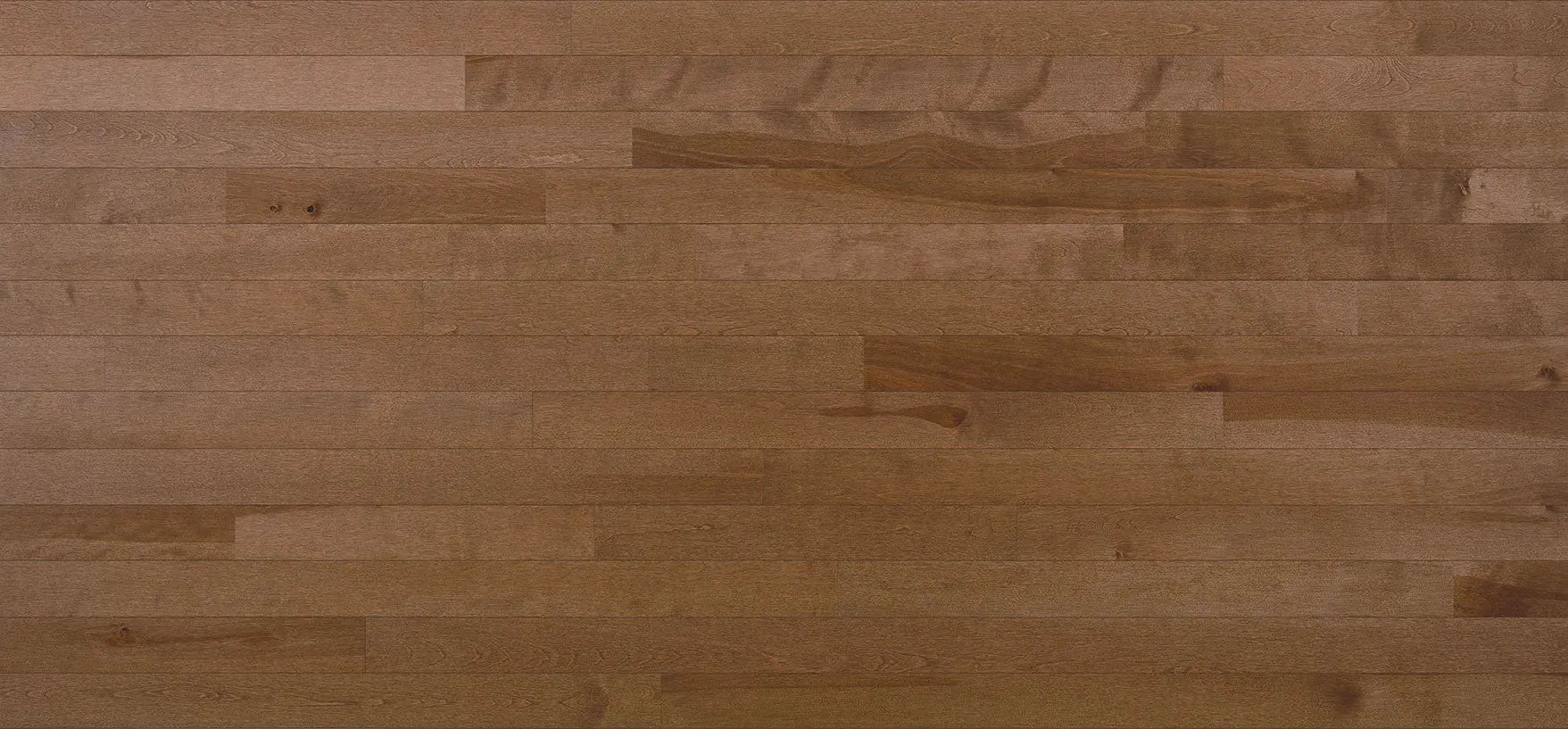 Expert - CAFÉ AU LAIT Yellow Birch - Solid Hardwood Lauzon