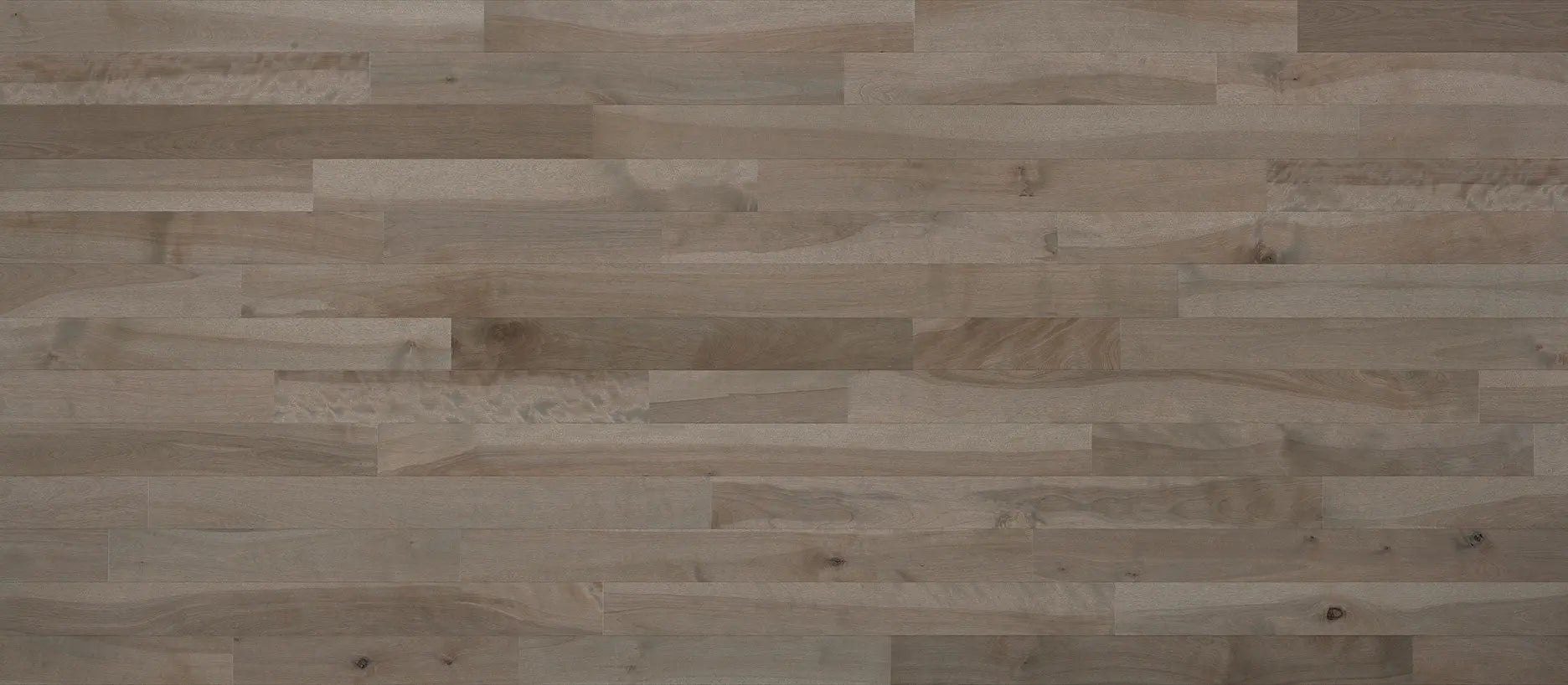 Expert - Caliza Yellow Birch - Solid Hardwood Lauzon