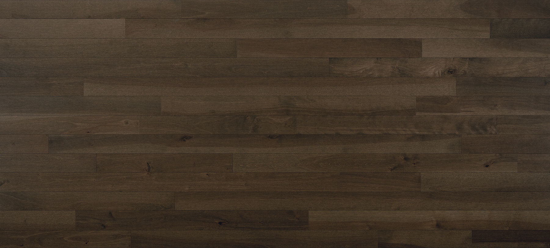 Expert - Castano Yello Birch - Solid Hardwood