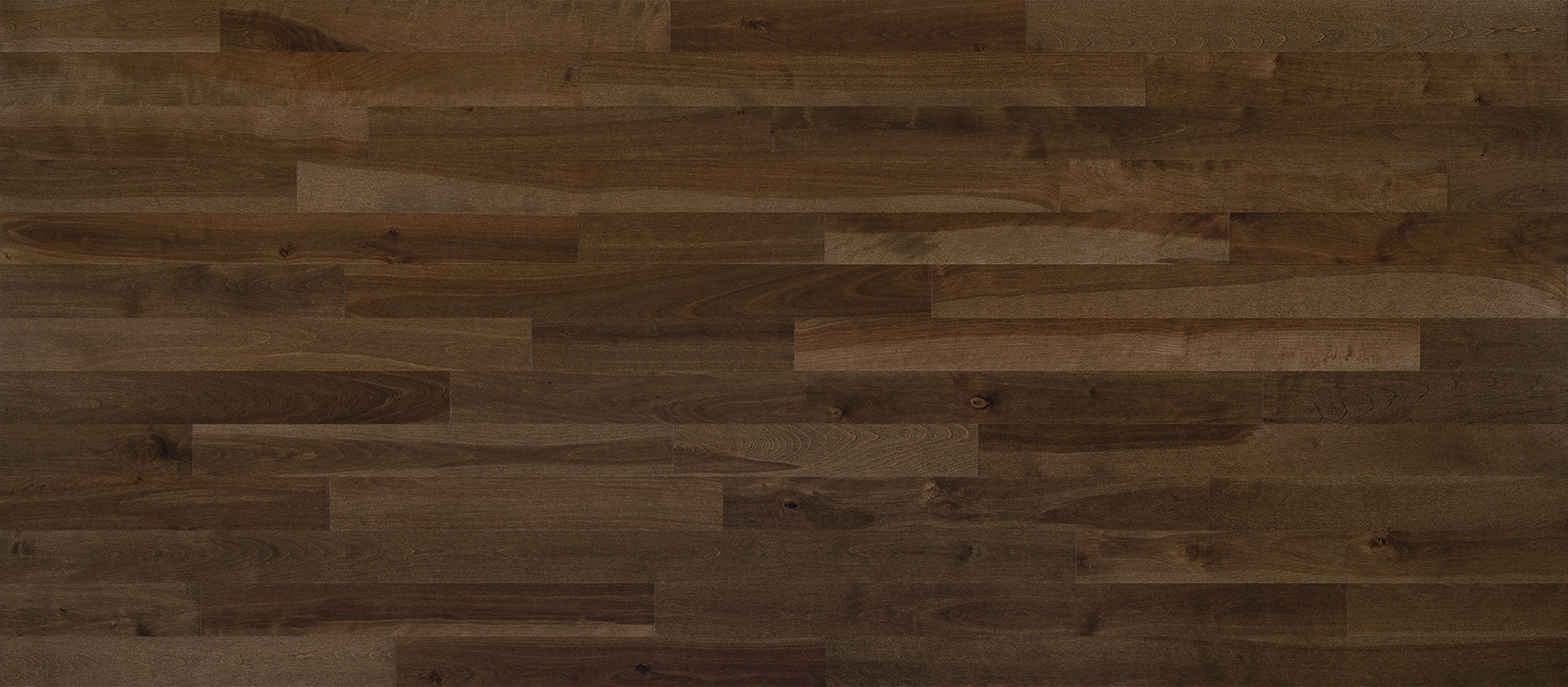Expert - Terroso Yello Birch - Solid Hardwood