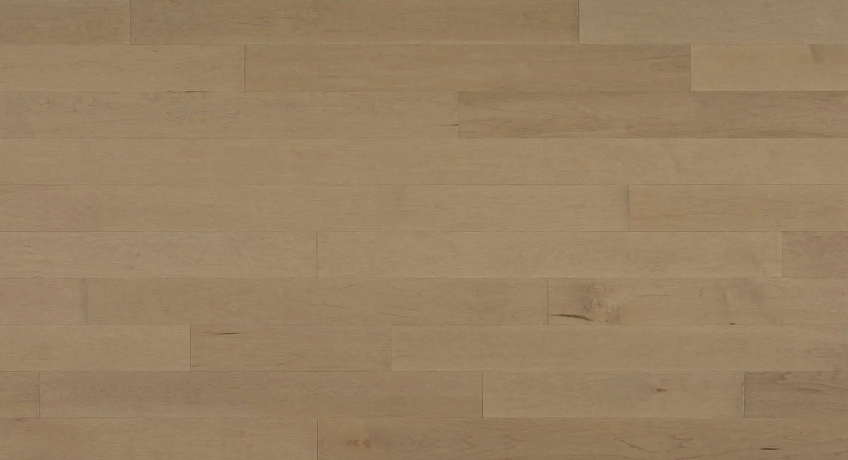 Expert - Viggo Maple - Solid Hardwood Lauzon