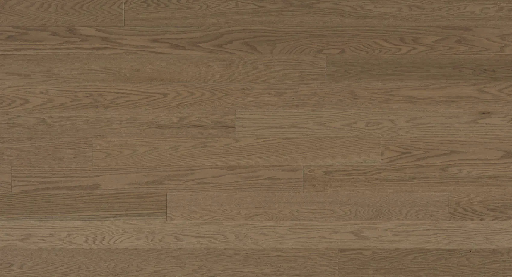 Expert - Aurora Red Oak - Solid Hardwood Lauzon