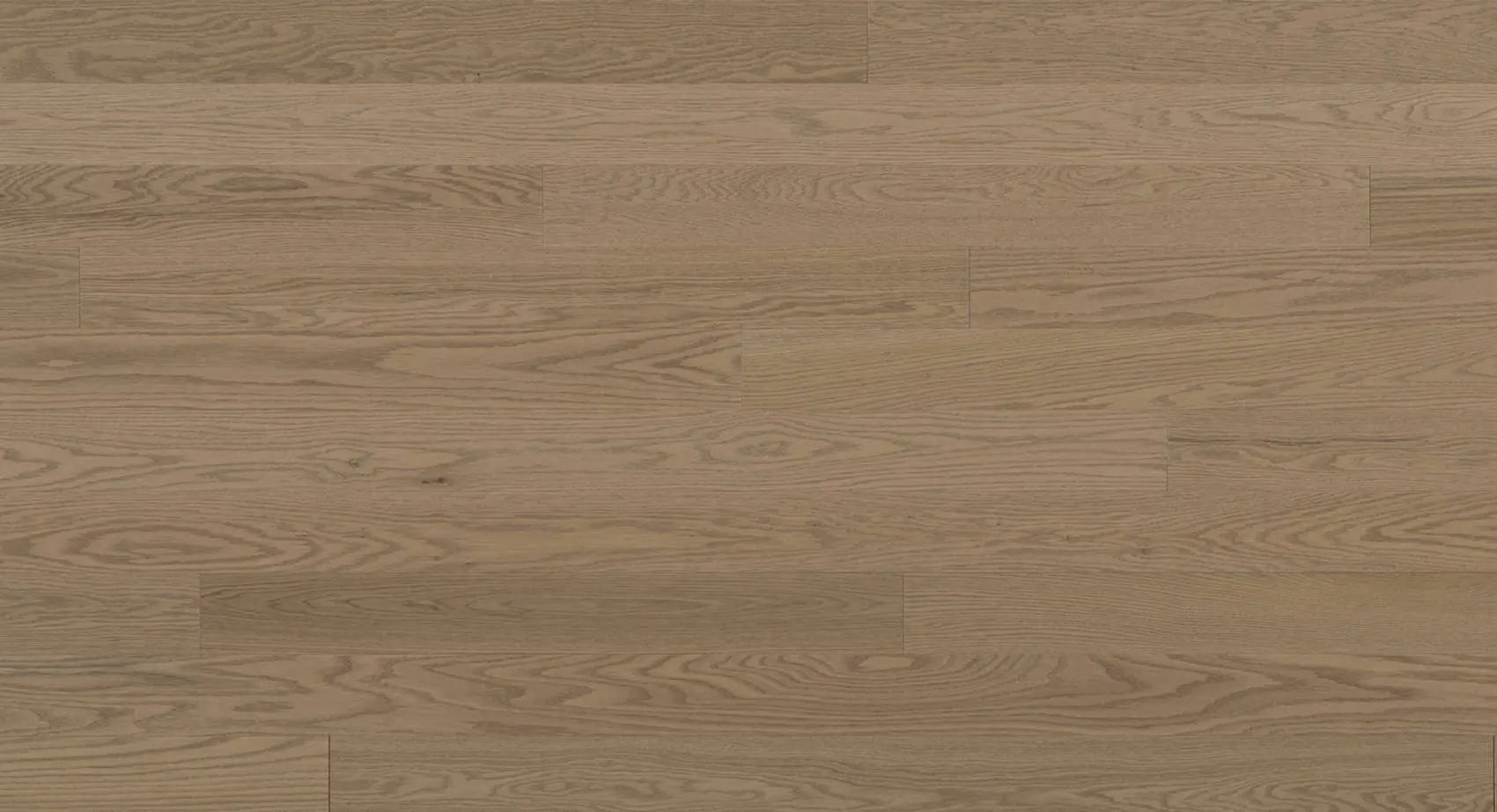 Expert - Bergen Red Oak - Solid Hardwood Lauzon