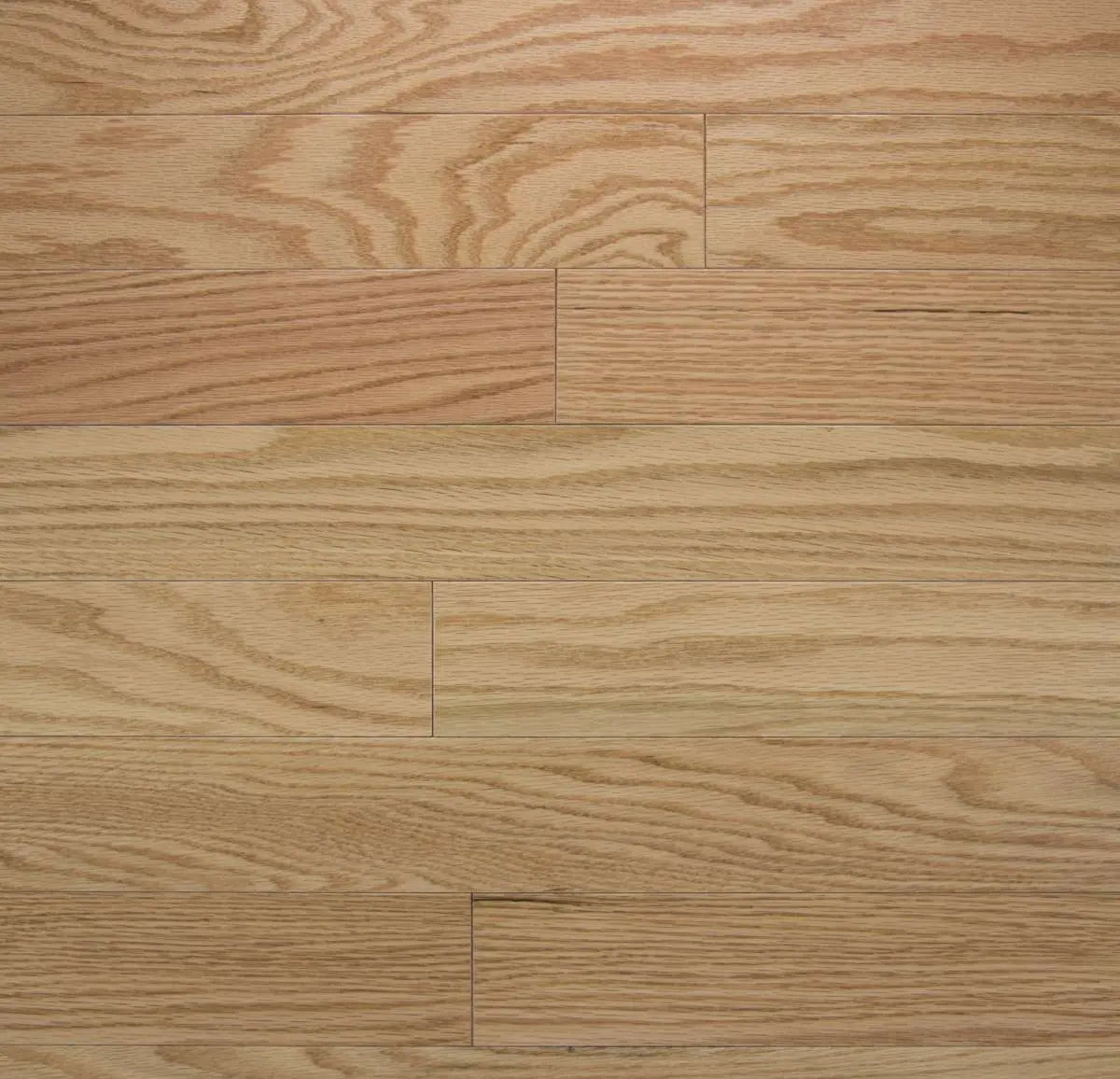 Color Strip - Natural Red Oak - Engineered Hardwood Somerset Hardwood Flooring