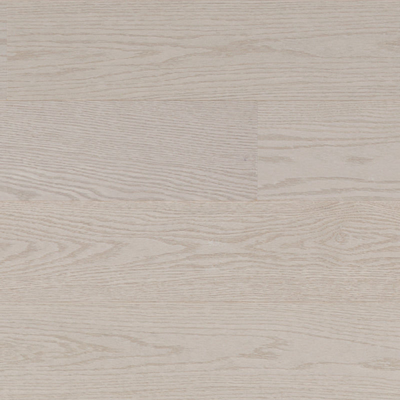 North American Oak - Plaza - Engineered Hardwood