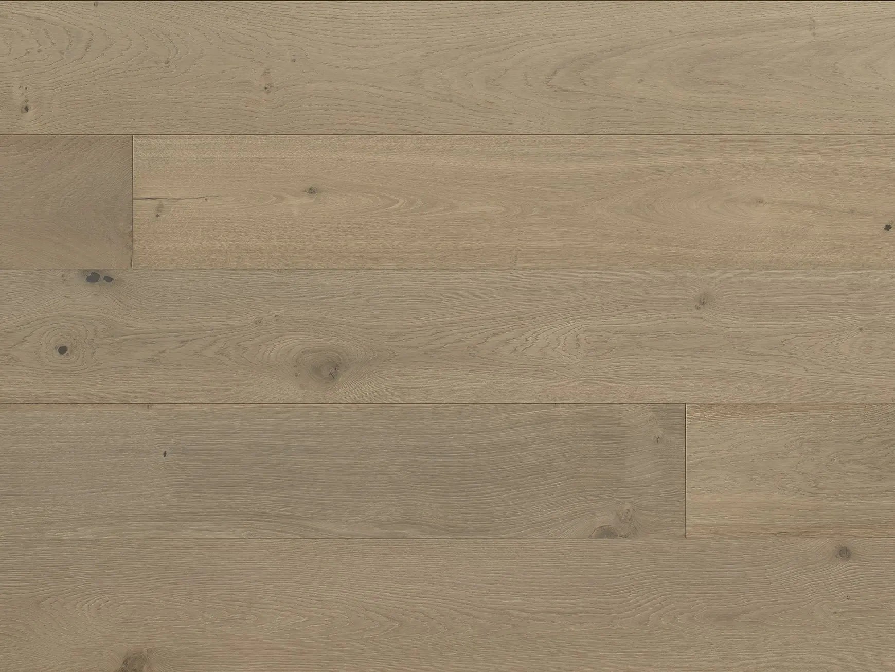 Tableau - Renoir - Engineered Hardwood Monarch Plank Hardwood Flooring