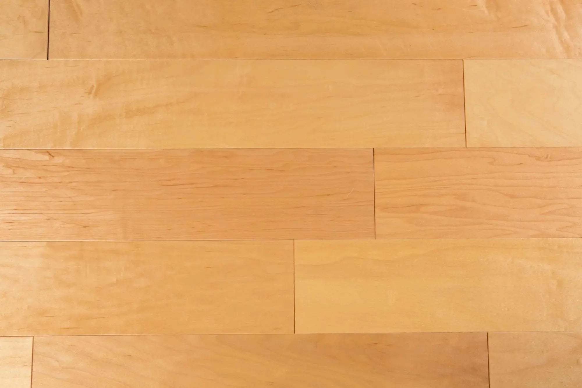 Canadian Maple Natural - Smooth 9/16" x 5" 2mm - Engineered Hardwood USC Flooring