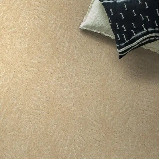 Pet Perfect - First In Class - Carpet Anderson Tuftex