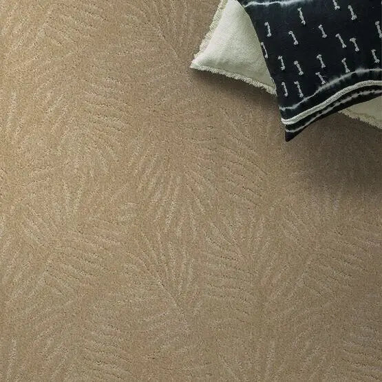 Pet Perfect - First In Class - Carpet Anderson Tuftex