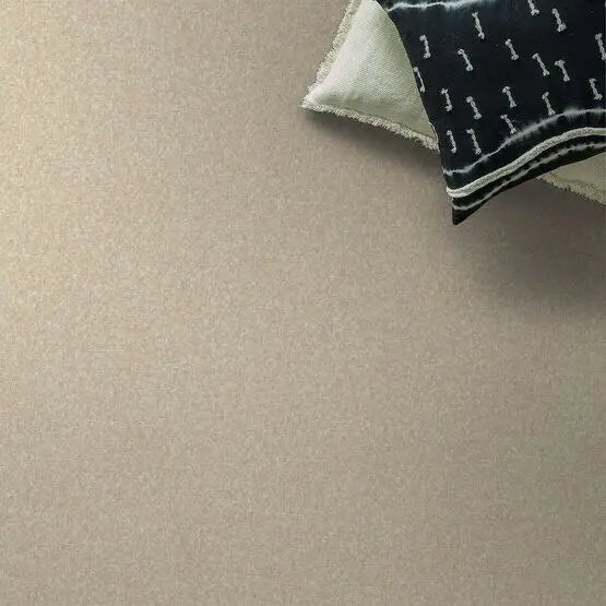 Pet Perfect - Cooper - Carpet Anderson Tuftex