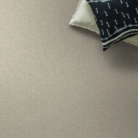 Pet Perfect - Cooper - Carpet Anderson Tuftex