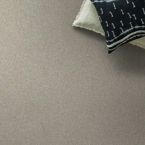 Pet Perfect - Cooper - Carpet Anderson Tuftex