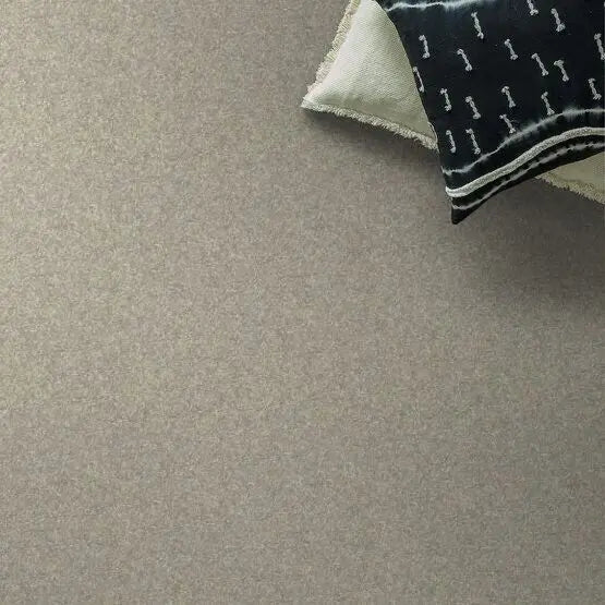 Pet Perfect - Cooper - Carpet Anderson Tuftex