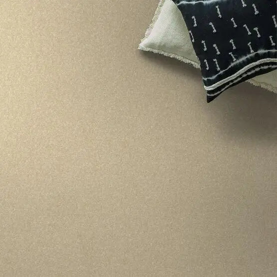 Pet Perfect - Cooper - Carpet Anderson Tuftex