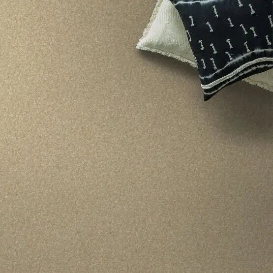 Pet Perfect - Cooper - Carpet Anderson Tuftex