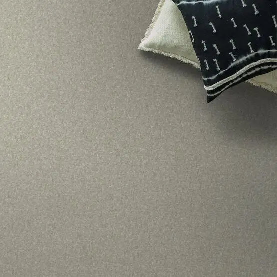 Pet Perfect - Cooper - Carpet Anderson Tuftex