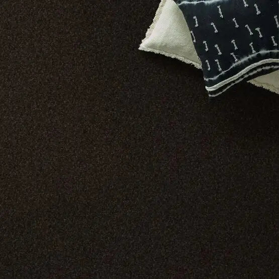 Pet Perfect - Cooper - Carpet Anderson Tuftex