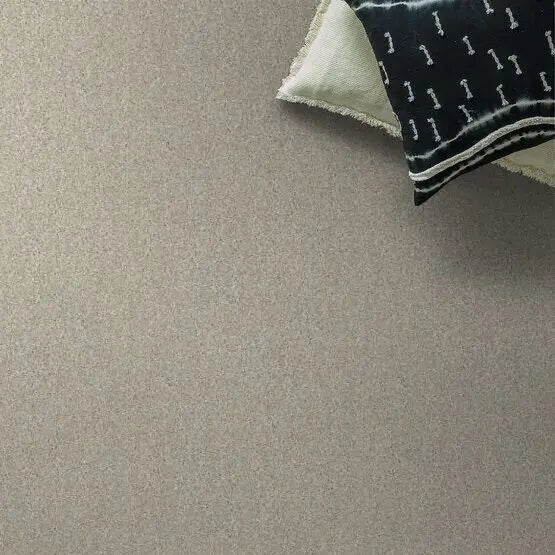 Pet Perfect - Sasha - Carpet Anderson Tuftex