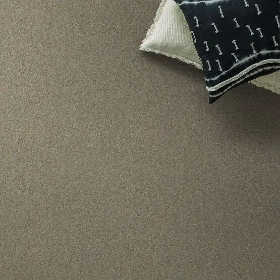 Pet Perfect - Sasha - Carpet Anderson Tuftex