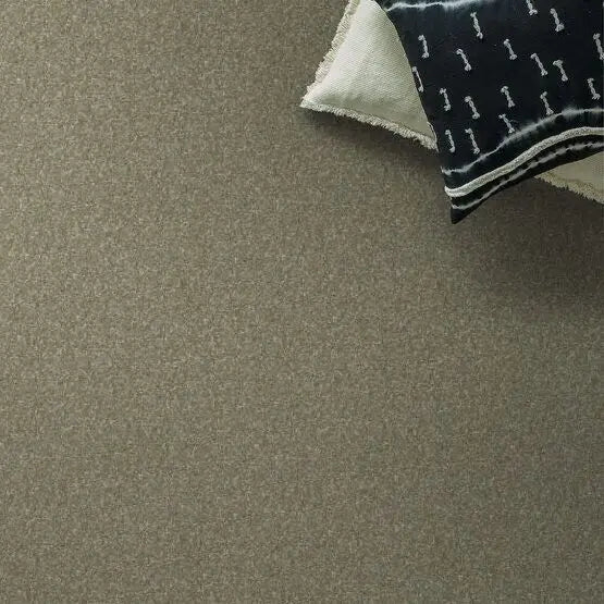 Pet Perfect - Sasha - Carpet Anderson Tuftex